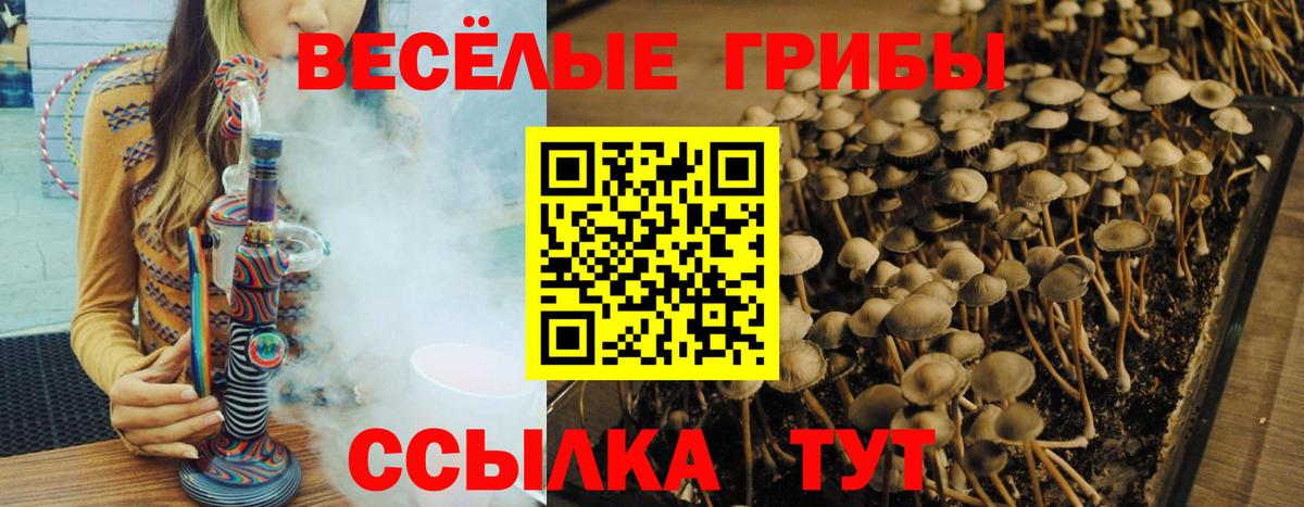 Псилоцибиновые грибы ЛСД  наркошоп  Галлюциногенные грибы Cubensis  Сызрань  Вход с VPN 