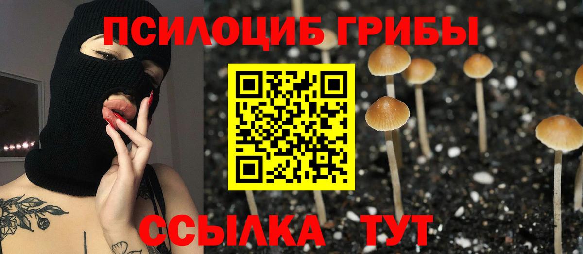 Псилоцибиновые грибы ЛСД Сызрань